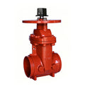 AWWA C515 Grooved Resilient NRS Gate Valve 300PSI (JKDZ85GRPF)